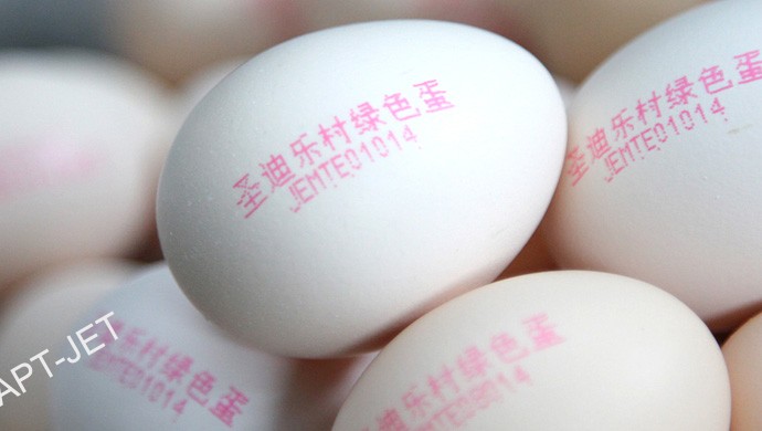 蛋品行業(yè)(圖7)