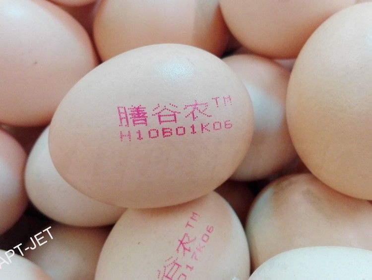 蛋品行業(yè)(圖3)