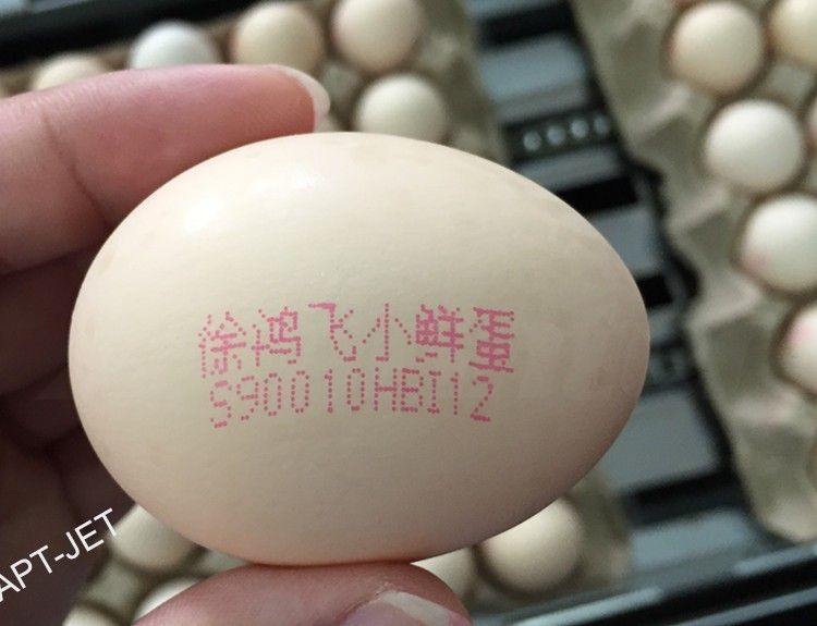 蛋品行業(yè)(圖5)